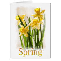 Yellow Spring Daffodils Photograph cards