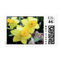 Yellow Spring Daffodils Stamps