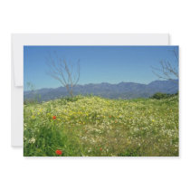 yellow Spring field in the mountains of Cyprus flo Personalized Invitation