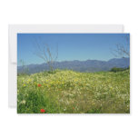 yellow Spring field in the mountains of Cyprus flo Personalized Invitation