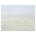 yellow Spring field in the mountains of Cyprus flo Customized Letterhead
