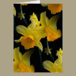Yellow Spring Floral Greeting Cards cards