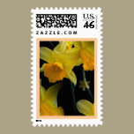 Yellow Spring Floral Postage stamps