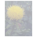 yellow Star Thistle, (Centaurea Macrophala) flower Letterhead Template