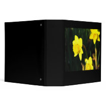 Yellow Staring binders