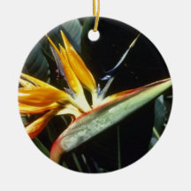 yellow Strelitzia Reginae (Bird Of Paradise) flowe Christmas Ornaments