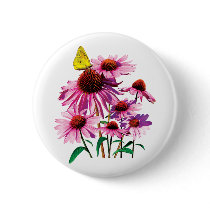 Yellow Sulphur Butterfly on Coneflower Button