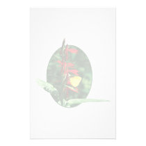 Yellow Sulphur Butterfly on Red Salvia stationery