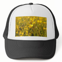 Yellow summer meadow trucker hats