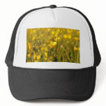 Yellow summer meadow hats