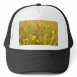 Yellow summer meadow hats