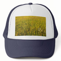 Yellow summer meadow hats