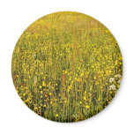 Yellow summer meadow magnets