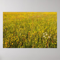 Yellow summer meadow print