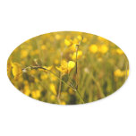 Yellow summer meadow stickers