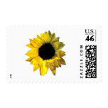 Yellow Sunflower Closeup postage