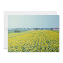 yellow Sunflower field in eastern Croatia flowers Custom Invite