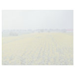 yellow Sunflower field in eastern Croatia flowers Personalized Letterhead