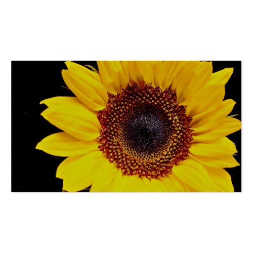 Yellow sunflower  flowers business card template (back side)