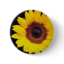 Yellow sunflower  flowers pin
