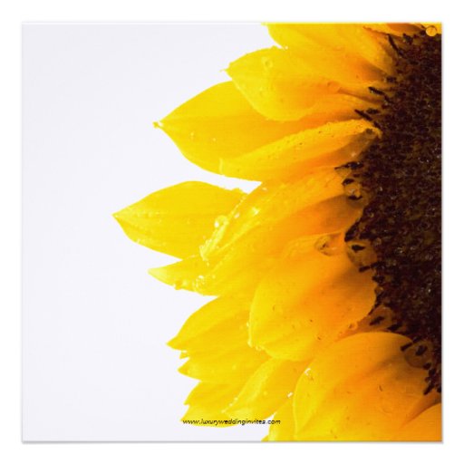 Yellow Sunflower Photo Bridal Shower Invitation