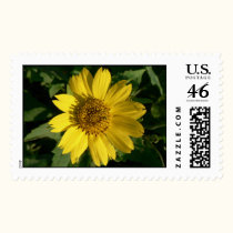 Yellow sunflower. postage by Acorns_tree Yellow sunflower. postage
