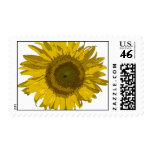Yellow Sunflower Postage Stamp