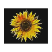 Yellow Sunflower Sun Flower Plant Full Color Flyer
