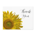 Yellow Sunflower Thank You postcard