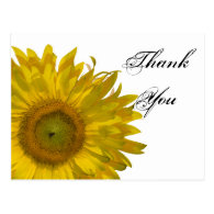Yellow Sunflower Thank You Postcard