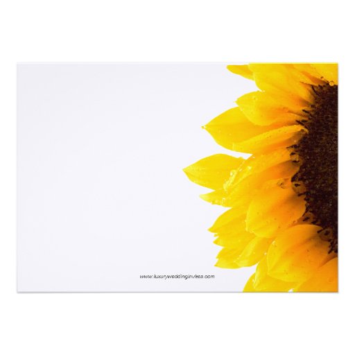 Yellow Sunflower Wedding Invitation | Black Yellow