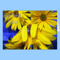 Yellow Sunflowers, Blue Bee -Get Well Soon Card cards