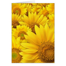 Yellow Sunflowers Card
