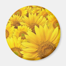 Yellow Sunflowers Refrigerator Magnets