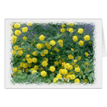Yellow Sunshine cards by Dawnzee Yellow Sunshine cards