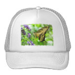 Yellow Swallowtail Butterfly Baseball Hat