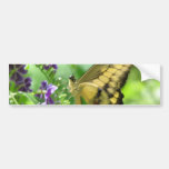 Yellow Swallowtail Butterfly Bumper Sticker