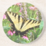 Yellow Swallowtail Butterfly in Summer Garden Beverage Coasters