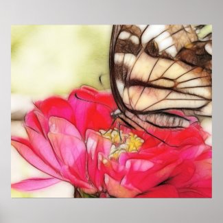 Yellow Swallowtail butterfly on a Zinnia Print