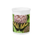 Yellow Swallowtail Butterfly Pitcher