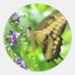 Yellow Swallowtail Butterfly Square Round Stickers