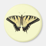 Yellow Swallowtail ~ magnet