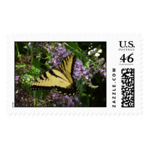 Yellow Swallowtail postage by Jack_of_Arts Yellow Swallowtail postage