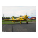 Yellow T6 posters
