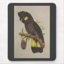Yellow-tailed Black Cockatoo Mouse Pads