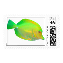 Yellow Tang First Class Stamp Postage stamps