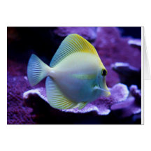 Yellow Tang Greeting Card
