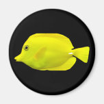 Yellow Tang Tropical Fish Magnets