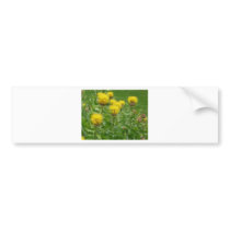 yellow thistle bumper stickers