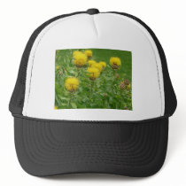 yellow thistle hats